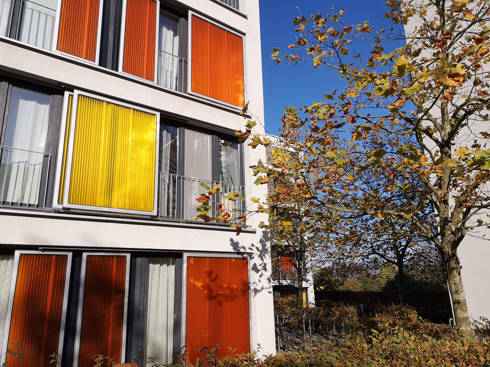 Fassade eines modernen Gebäudes mit bunten Fensterläden in orange und gelb, umgeben von Bäumen.